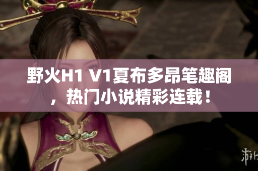 野火H1 V1夏布多昂筆趣閣，熱門小說精彩連載！