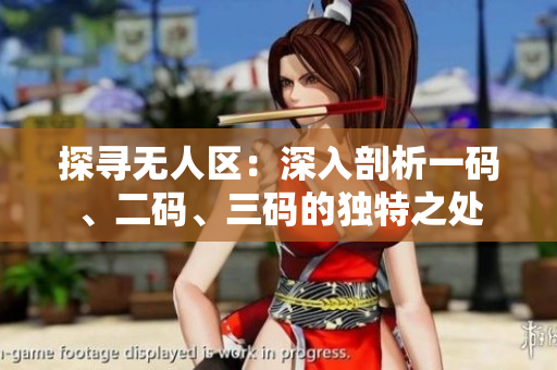 探尋無(wú)人區(qū)：深入剖析一碼、二碼、三碼的獨(dú)特之處