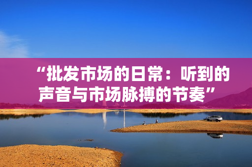 “批發(fā)市場(chǎng)的日常：聽(tīng)到的聲音與市場(chǎng)脈搏的節(jié)奏”