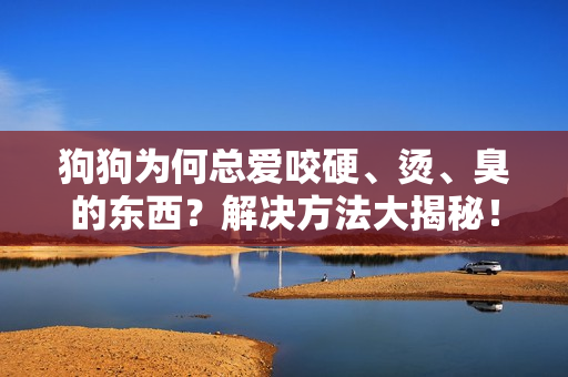 狗狗為何總愛咬硬、燙、臭的東西？解決方法大揭秘！