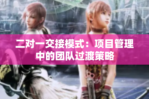 二對(duì)一交接模式：項(xiàng)目管理中的團(tuán)隊(duì)過(guò)渡策略