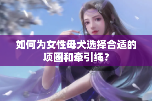 如何為女性母犬選擇合適的項(xiàng)圈和牽引繩？