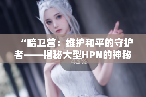 “暗衛(wèi)營(yíng)：維護(hù)和平的守護(hù)者——揭秘大型HPN的神秘力量”