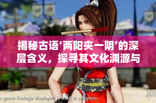 揭秘古語(yǔ)‘兩陽(yáng)夾一陰’的深層含義，探尋其文化淵源與象征意義