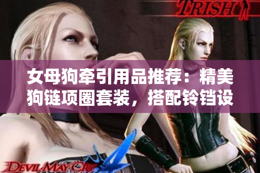 女母狗牽引用品推薦：精美狗鏈項(xiàng)圈套裝，搭配鈴鐺設(shè)計(jì)，輕松引導(dǎo)寵物散步