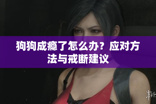 狗狗成癮了怎么辦？應(yīng)對方法與戒斷建議