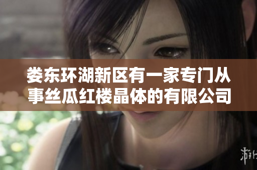 婁東環(huán)湖新區(qū)有一家專門(mén)從事絲瓜紅樓晶體的有限公司