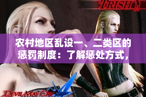 農(nóng)村地區(qū)亂設(shè)一、二類區(qū)的懲罰制度：了解懲處方式，規(guī)范村莊建設(shè)