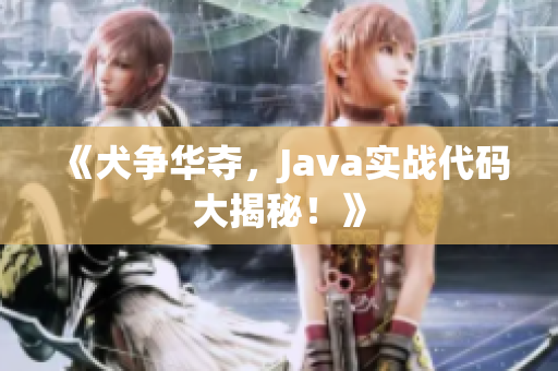 《犬爭華奪，Java實戰(zhàn)代碼大揭秘！》