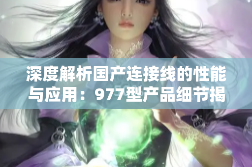 深度解析國(guó)產(chǎn)連接線的性能與應(yīng)用：977型產(chǎn)品細(xì)節(jié)揭秘