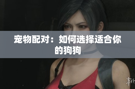 寵物配對：如何選擇適合你的狗狗