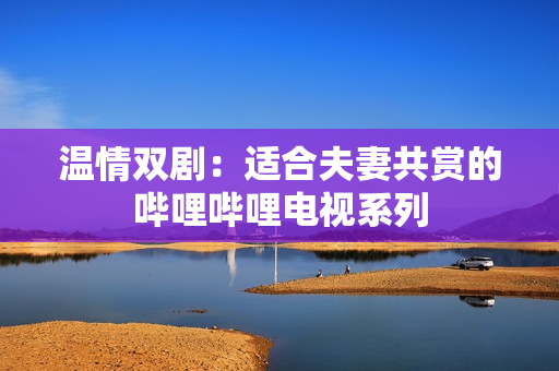 溫情雙?。哼m合夫妻共賞的嗶哩嗶哩電視系列
