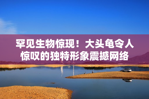 罕見生物驚現(xiàn)！大頭龜令人驚嘆的獨(dú)特形象震撼網(wǎng)絡(luò)