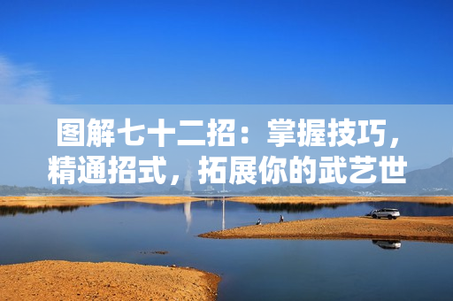 圖解七十二招：掌握技巧，精通招式，拓展你的武藝世界