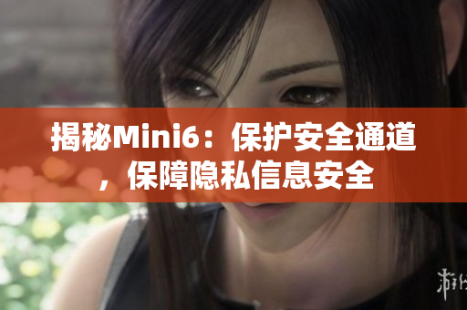 揭秘Mini6：保護安全通道，保障隱私信息安全