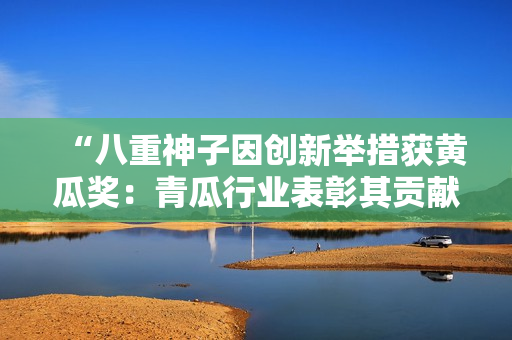 “八重神子因創(chuàng)新舉措獲黃瓜獎(jiǎng)：青瓜行業(yè)表彰其貢獻(xiàn)”