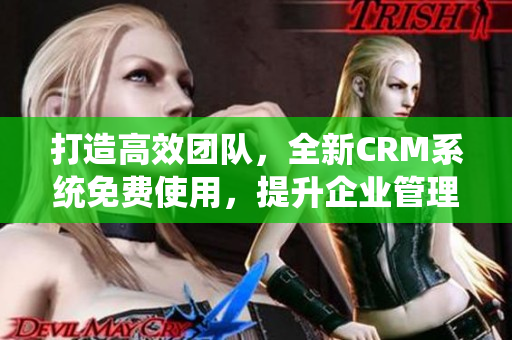 打造高效團(tuán)隊(duì)，全新CRM系統(tǒng)免費(fèi)使用，提升企業(yè)管理效率