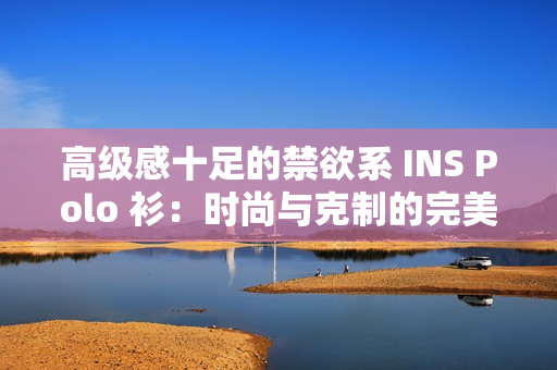 高級(jí)感十足的禁欲系 INS Polo 衫：時(shí)尚與克制的完美融合