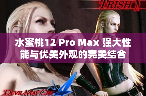 水蜜桃12 Pro Max 強(qiáng)大性能與優(yōu)美外觀的完美結(jié)合