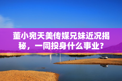 董小宛天美傳媒兄妹近況揭秘，一同投身什么事業(yè)？