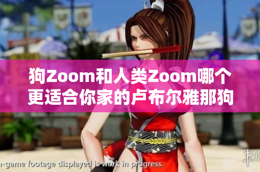 狗Zoom和人類Zoom哪個(gè)更適合你家的盧布爾雅那狗？