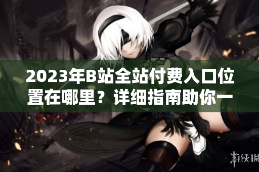 2023年B站全站付費(fèi)入口位置在哪里？詳細(xì)指南助你一鍵了解