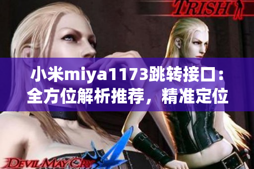 小米miya1173跳轉(zhuǎn)接口：全方位解析推薦，精準定位用戶需求