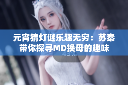 元宵猜燈謎樂趣無窮：蘇秦帶你探尋MD換母的趣味
