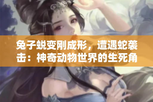兔子蛻變剛成形，遭遇蛇襲擊：神奇動(dòng)物世界的生死角逐