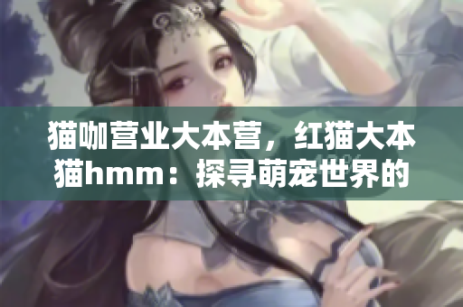 貓咖營業(yè)大本營，紅貓大本貓hmm：探尋萌寵世界的神秘密碼