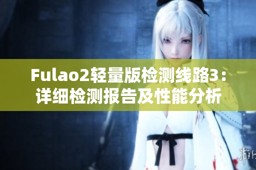 Fulao2輕量版檢測線路3：詳細檢測報告及性能分析