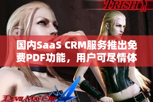 國內(nèi)SaaS CRM服務推出免費PDF功能，用戶可盡情體驗