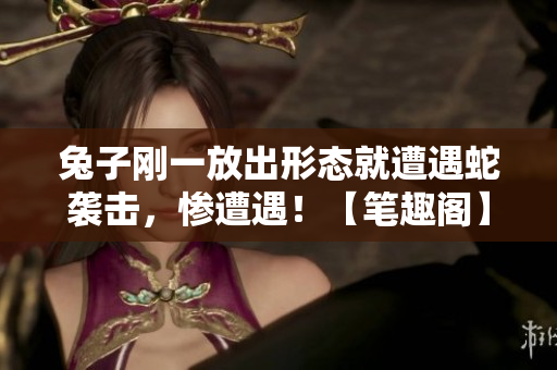 兔子剛一放出形態(tài)就遭遇蛇襲擊，慘遭遇！【筆趣閣】
