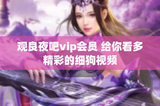 觀良夜吧vip會員 給你看多精彩的細(xì)狗視頻