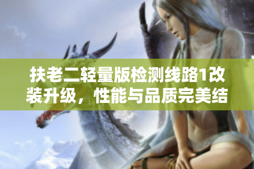 扶老二輕量版檢測線路1改裝升級(jí)，性能與品質(zhì)完美結(jié)合