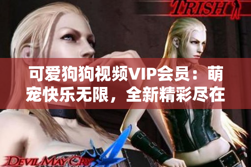 可愛狗狗視頻VIP會(huì)員：萌寵快樂無(wú)限，全新精彩盡在其中