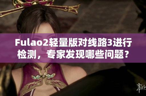 Fulao2輕量版對(duì)線路3進(jìn)行檢測(cè)，專家發(fā)現(xiàn)哪些問(wèn)題？