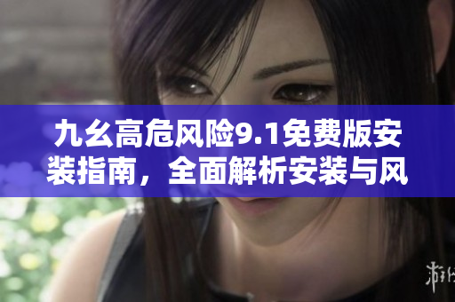 九幺高危風險9.1免費版安裝指南，全面解析安裝與風險管理