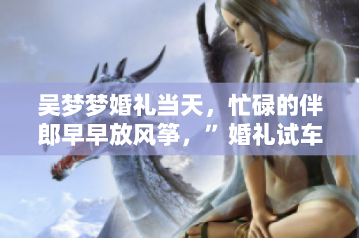 吳夢(mèng)夢(mèng)婚禮當(dāng)天，忙碌的伴郎早早放風(fēng)箏，”婚禮試車(chē)””搬家”兩不誤，使命必達(dá)。