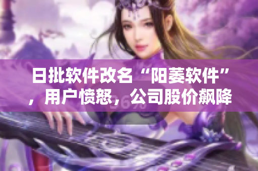 日批軟件改名“陽(yáng)萎軟件”，用戶憤怒，公司股價(jià)飆降
