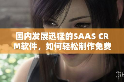 國內(nèi)發(fā)展迅猛的SAAS CRM軟件，如何輕松制作免費PDF？