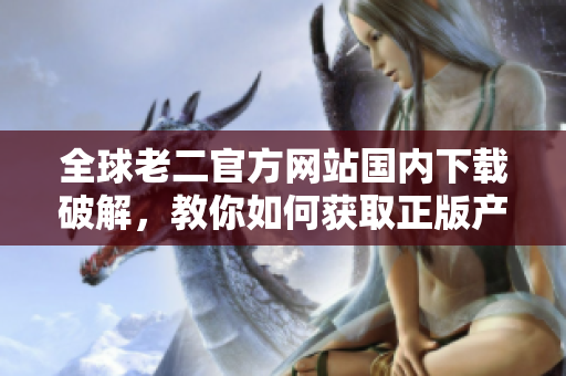 全球老二官方網(wǎng)站國內(nèi)下載破解，教你如何獲取正版產(chǎn)品！