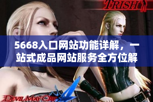 5668入口網(wǎng)站功能詳解，一站式成品網(wǎng)站服務(wù)全方位解讀