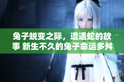 兔子蛻變之際，遭遇蛇的故事 新生不久的兔子命運多舛