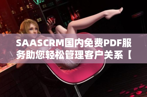 SAASCRM國內(nèi)免費PDF服務(wù)助您輕松管理客戶關(guān)系【深度評測】