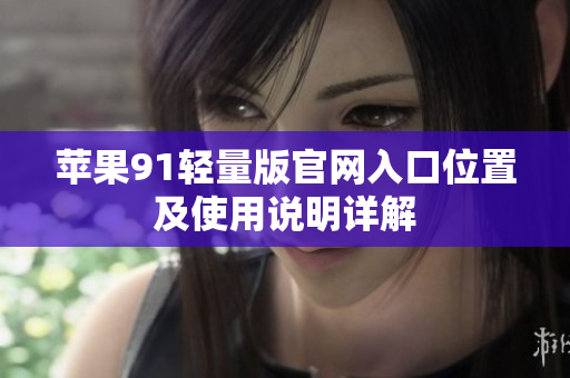 蘋果91輕量版官網(wǎng)入口位置及使用說明詳解