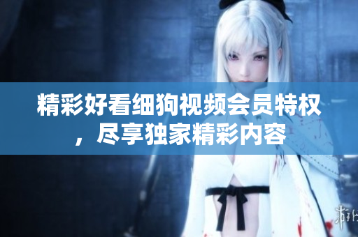 精彩好看細狗視頻會員特權，盡享獨家精彩內容