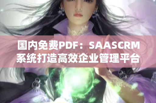 國內(nèi)免費(fèi)PDF：SAASCRM系統(tǒng)打造高效企業(yè)管理平臺(tái)