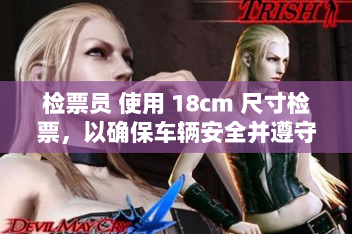 檢票員 使用 18cm 尺寸檢票，以確保車輛安全并遵守規(guī)定