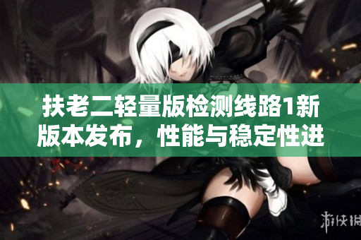扶老二輕量版檢測(cè)線路1新版本發(fā)布，性能與穩(wěn)定性進(jìn)一步優(yōu)化